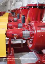 Pumps and valves-2