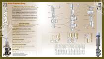 PVE LEAFLET-2