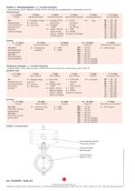 Butterfly valve with pneumatic actuator - 2