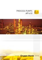 PROCESS PUMPS API 610 - 1