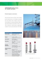 Safety Valves - 7