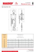 11/09  Aluminium Spur Gear Hoist-2