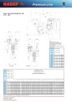 Electric-Chain Hoists-4