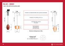 RAPID LEVEL 2024-12