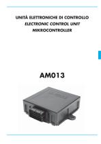 AM013-1