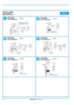 Gear Pump and Motors - Cast iron body-10