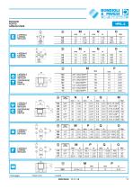 Gear Pump and Motors - Cast iron body-11