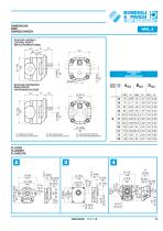 Gear Pump and Motors - Cast iron body-15