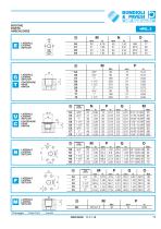 Gear Pump and Motors - Cast iron body-17