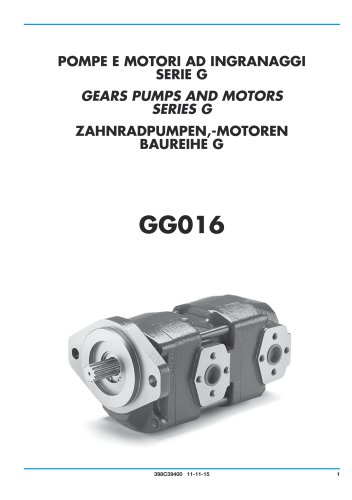 Gear Pump and Motors - Cast iron body