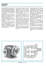 Gear Pump and Motors - Cast iron body-4