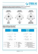 Gear Pump and Motors - Cast iron body-5