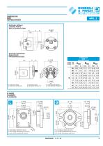 Gear Pump and Motors - Cast iron body-9