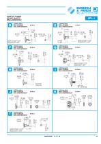 Gear Pumps, Motors and Flow Dividers - Aluminium body-15