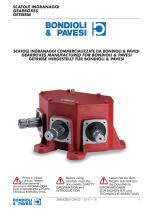 Parallel shaft Gearboxes - Manufactured for Bondioli & Pavesi-1