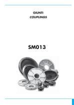 SM013-1
