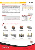 INSULATION GUARD FOR NON-GROUNDED AC NETWORKS - 4
