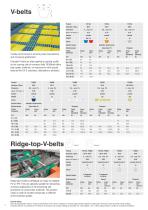 weldable Round- and V-belts Special profi les - 10