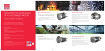 CUSTOMISED MOTORS FOR YOUR BUSINESS-2