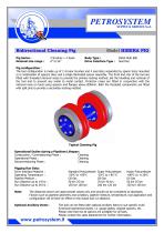 Bidirectional Cleaning Pig-1