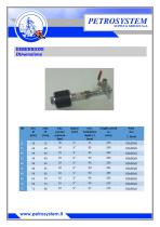 High Pressure Testing Plug Serie 300 Type 350-2