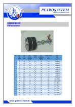 High Pressure Testing Plug Serie 300 Type 350-3