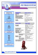 MECHANICAL INTRUSIVE PIG SIGNALE-2