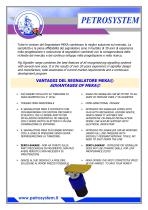 MECHANICAL INTRUSIVE PIG SIGNALE-3