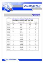 STAINLESS STEEL PLUG-2