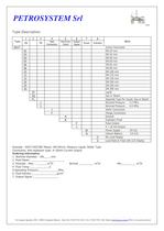 Vortex Flowmeter-4