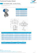 BV4-6666R-A300 - Double Acting - 1