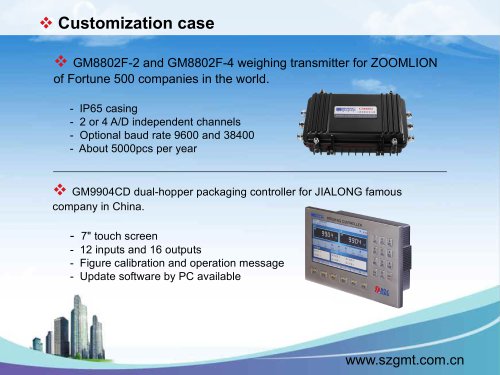 GM Weighing-Customized solution case