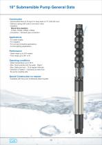 10 inch Cast Iron Submersible Pump 50 HZ - 2