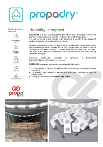 PROPADRY - antihumidity desiccant tray for container