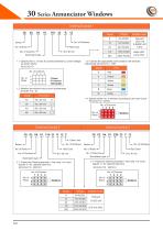 Annunciator Windows 30 Series - 9