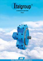 IAM Series - Single Displacement Hydraulic Motor