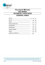 IAM Series - Single Displacement Hydraulic Motor - 4