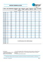 IAM Series - Single Displacement Hydraulic Motor - 9