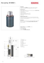 Gas pressure springs - 10