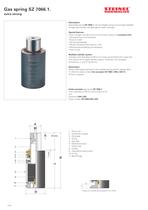 Gas pressure springs - 12