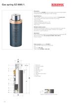 Gas pressure springs - 14