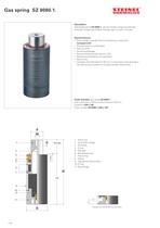 Gas pressure springs - 6