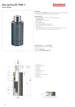 Gas pressure springs - 8