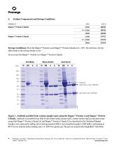 Magne Protein G Beads and Magne Protein A Beads-5