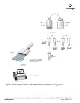 UDP-Glo™ Glycosyltransferase Assay - 6