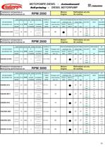 CATALOGUE MOTOPUMPS PROFESSIONAL DIESEL SELF-PRIMING - 3