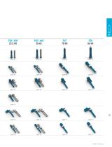 Electromechanical linear actuators - 10