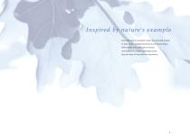 Company Profile-3