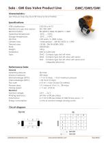 Smart Meter Valves-1