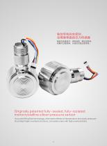 LEEG Differential Pressure Transducer for Process Industry Brochure - 5